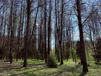 Участок 18.4 сот.