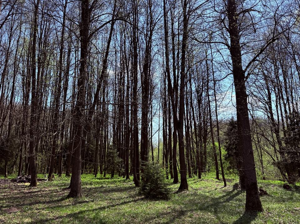 Участок 18.4 сот.