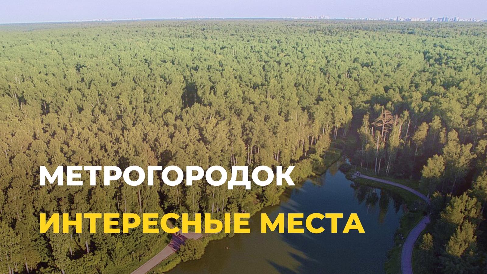 Заповедный угол Москвы: Топ-5 главных мест Метрогородка